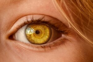 What to Know About Contact Lenses featured image